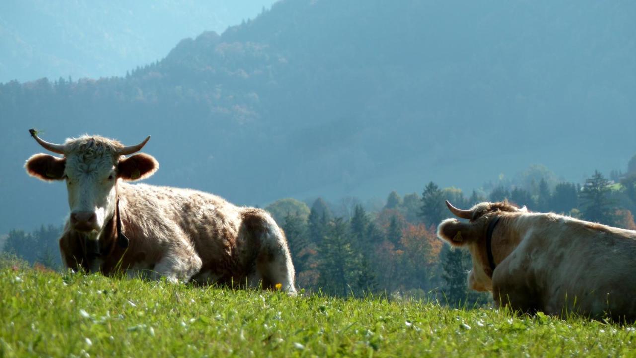 Ferienwohnungen Monika Kloiber โรพอลดิง ภายนอก รูปภาพ